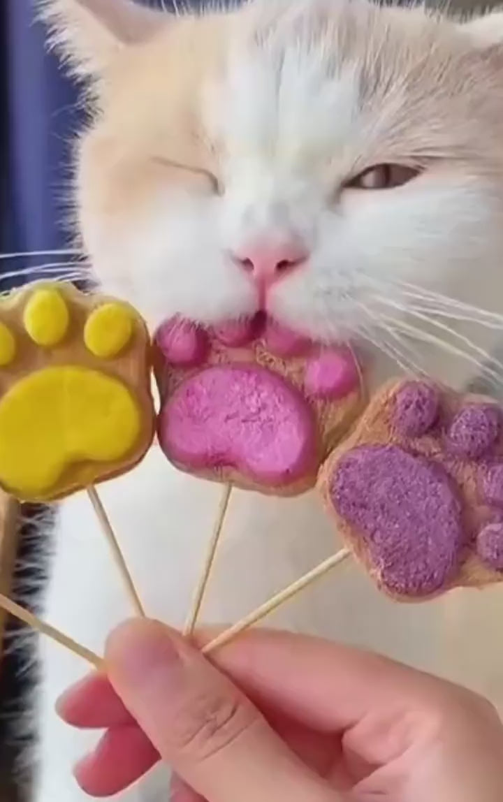 PAWF Grass & Nutrient Bites